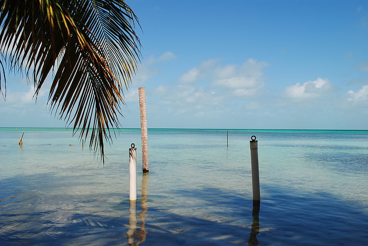 Belize, Cay caulker, Ambra, mellom-Amerika, øya, sjøen, stranden