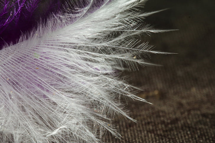 macro, pen, white