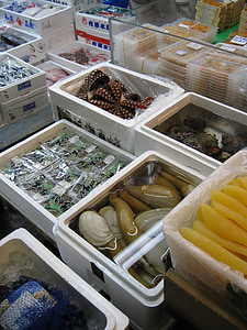 marknaden, fisk, Japan, Tokyo, Tsukiji, turist, attraktion