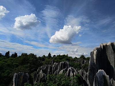 sten skog, i provinsen yunnan, landskap