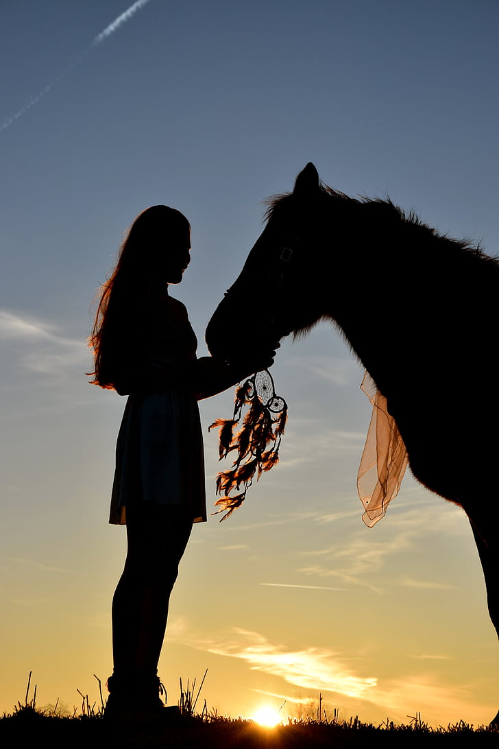 sunrise, silhouette, horse, dream catcher, human, girl, two people