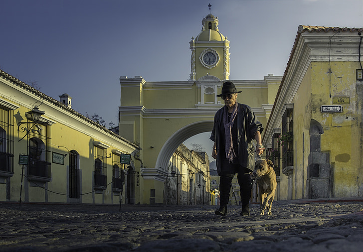 antiguaguatemala, Guatemala, ruas, cão, chapéu, arco, América Central