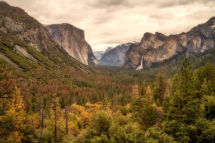 Yosemite, nationaal park, waterval, Falls, Cascade, Californië, bos