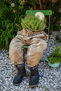 torso, Pantaloni, erbe, giardino