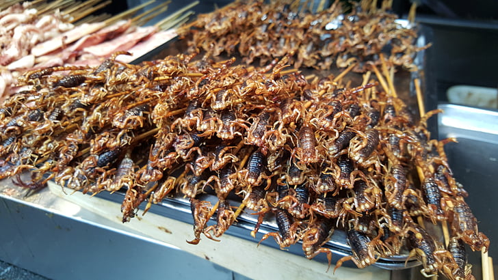 escorpiões, comida chinesa, cozinha chinesa