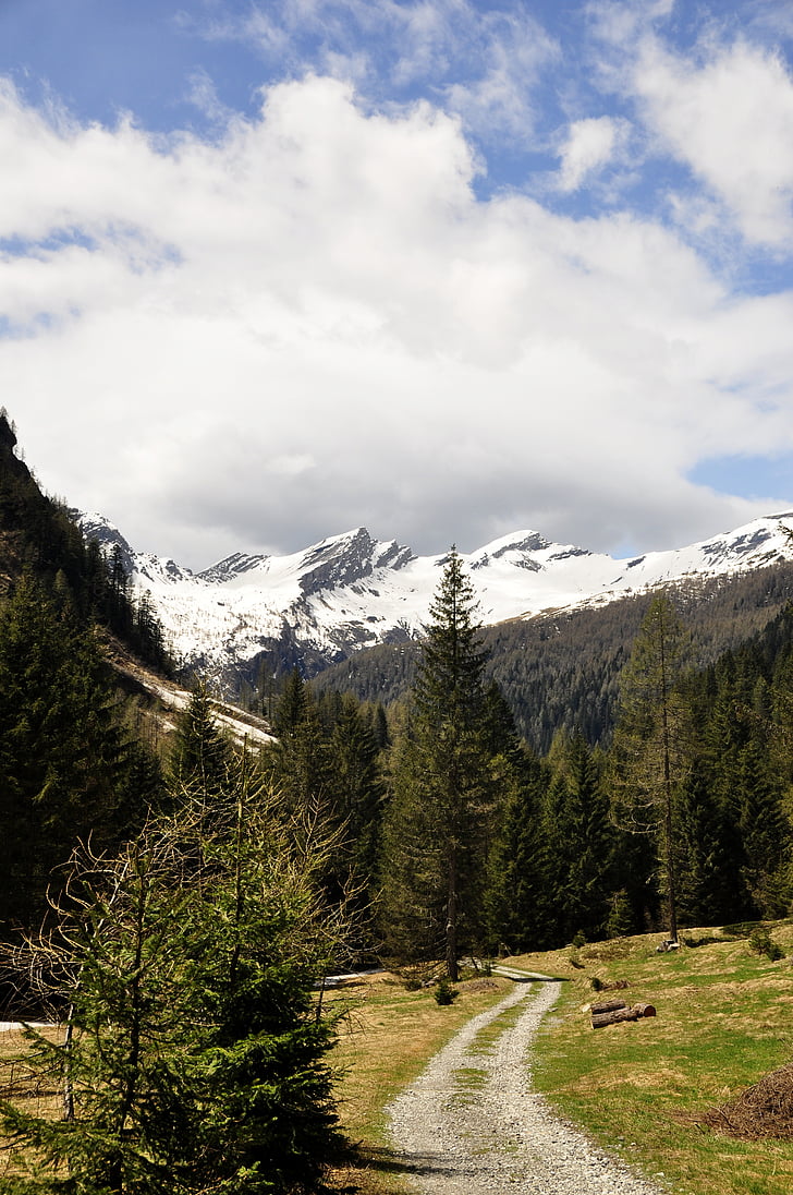 fjell, alpint, unna, Ticino, Sveits, Panorama, fjell