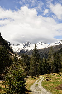 hory, alpské, pryč, Ticino, Švýcarsko, Panorama, Hora