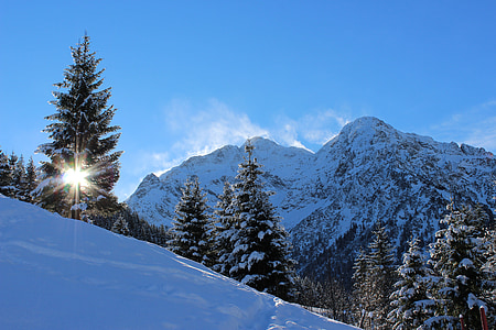 Zimní, sníh, hory, Les, Příroda, Zimní, Vánoční strom