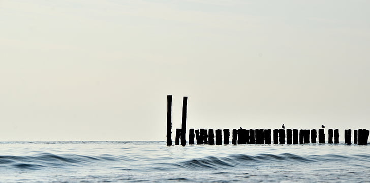 silhouette, dock, pillars, ocean, daytime, beach, birds