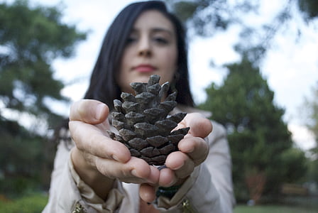 fir cone, person, pinecone, woman, fruit, nature, holding