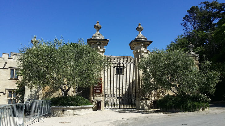 olive trees, trees, entry, portal, avignon, property, city