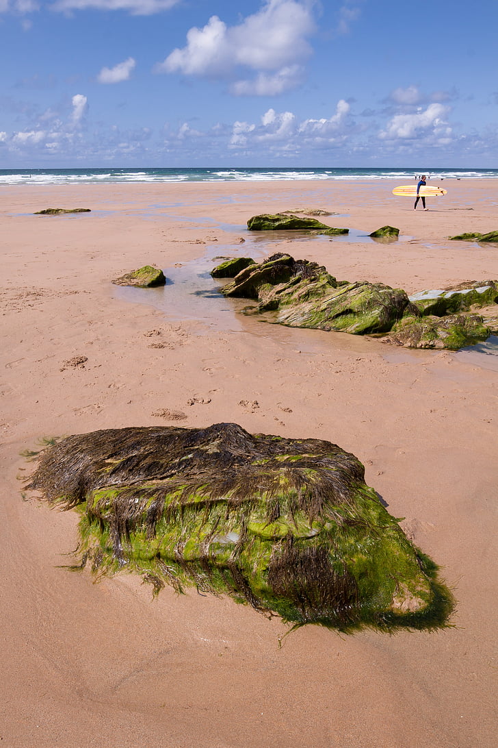 coast, beach, stones, sea, seaweed, surfer, surfboard
