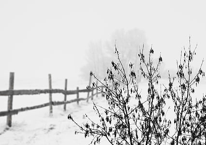 neu, l'hivern, fred, paisatge, tanca, hivernal, blanc