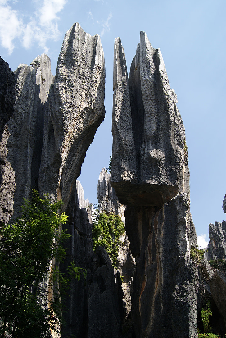 sten skog, Rock, Shilin, naturen, Park, nationalparken, Kina