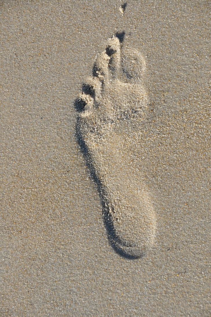 stopa, pláž, písek, noha, chůze, naboso, symbol