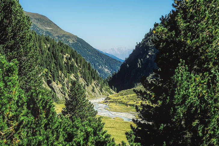 Rakousko, hory, Les, stromy, Woods, krajina, údolí