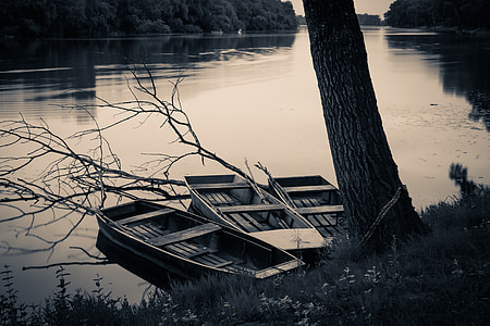 Cisy, Łódź, łodzie, zaścianek, wody, Rzeka, Natura