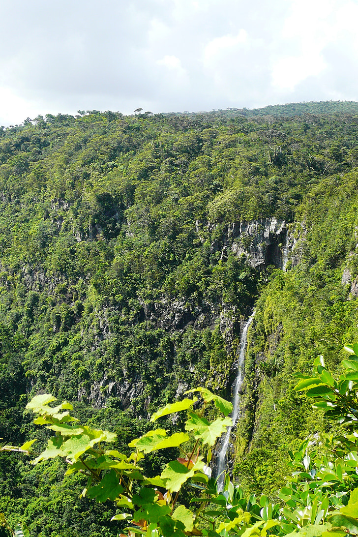 forest, mauritius, trees, east africa, landscape, waterfall