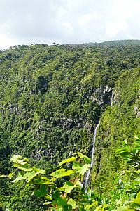 skogen, Mauritius, träd, östra Afrika, landskap, vattenfall