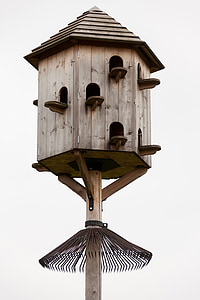 Dovecot, lesene, hiša, golob, golob, polje, birdhouse