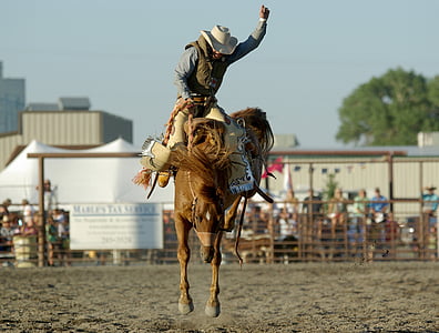 kovboj, Rodeo, kůň, Bronco, vzpírá, západní, jízda na koni