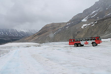 valge, punane, Kanada, lipp, teemastatud, Buss, Läheduses asuvad