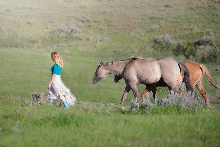 con ngựa, Cô bé, số đếm, vùng nông thôn, động vật, Thiên nhiên, nữ