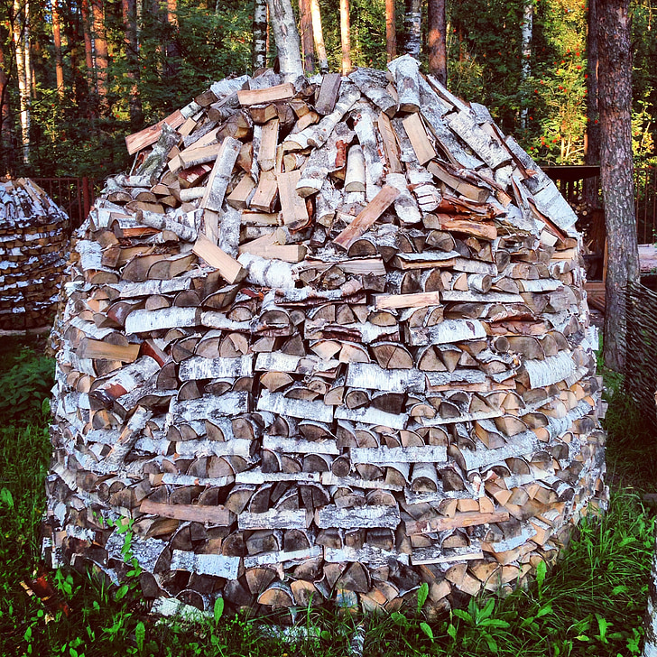 kayu bakar, oven, api, hutan, di luar rumah