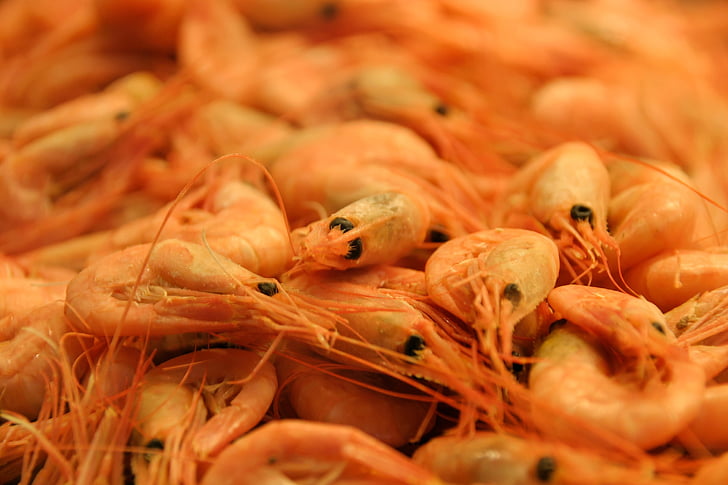 shrimp, seafood, eat, market, cook, food, meal