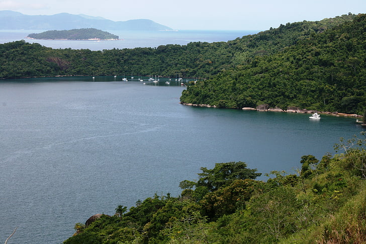 mar, tropical vegetation, atlantic forest, vista, angra, rio santos, brazil