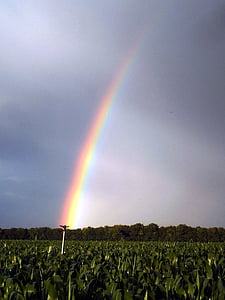 rainbow, colors, storm, nature, rain, alsace, agriculture