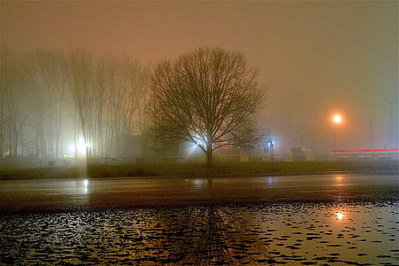 fog, night, tree, light, shadow, silhouette, pond