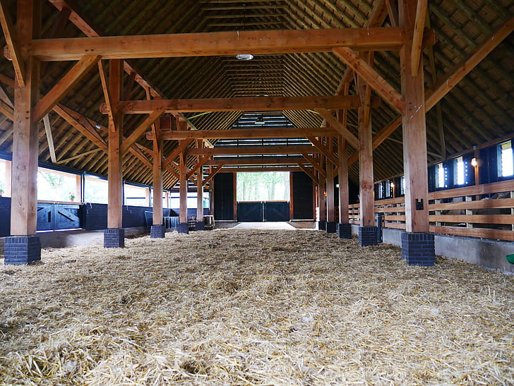 stable, sheepfold, barn, straw