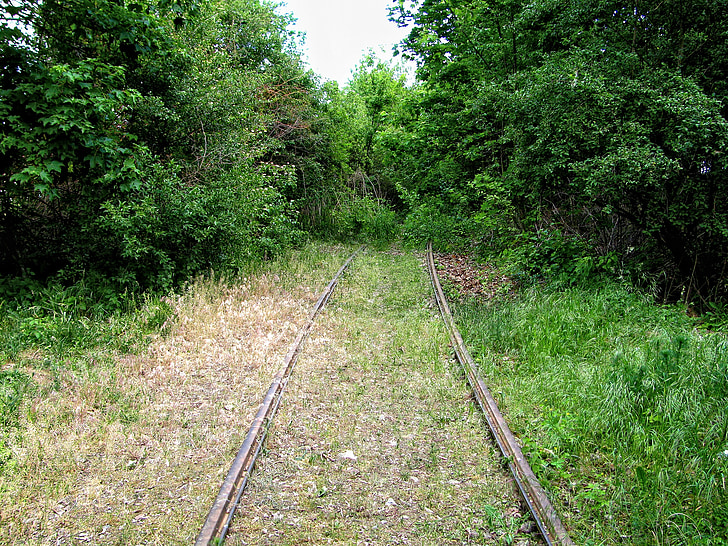 релси, обрасли, железопътната линия, проследяване на края, природата, влак, проследяване