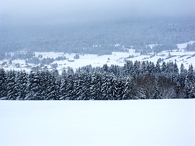 Inverno, paisagem, natureza, nuvem, neve, abeto, paisagem de inverno