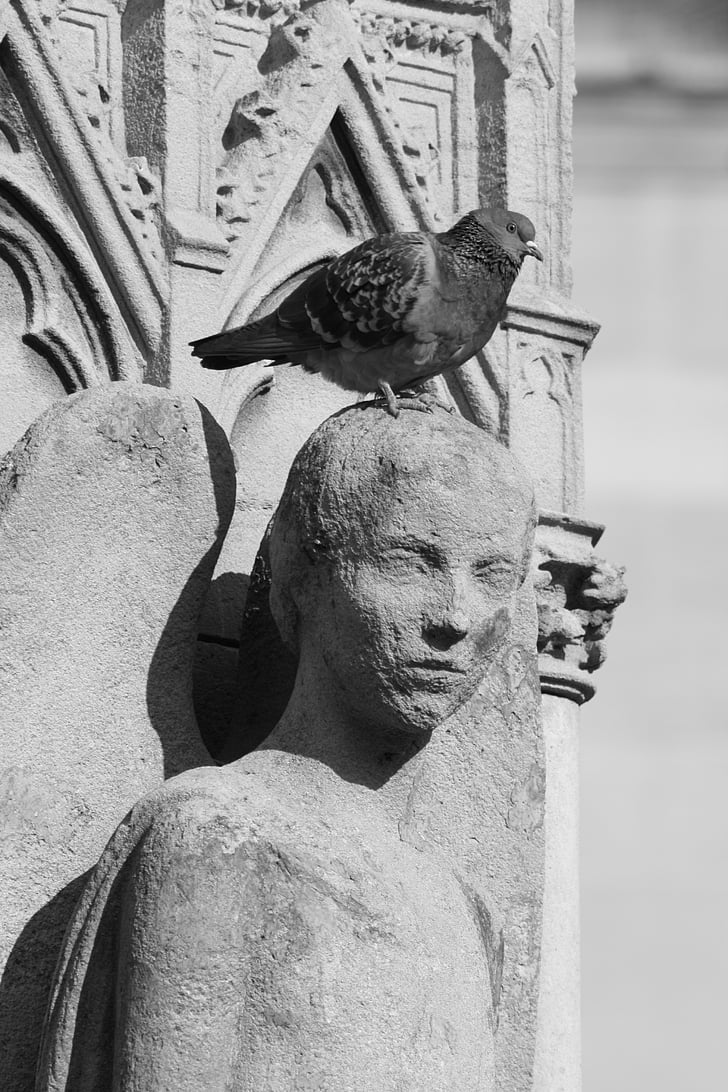 escultura, preto e branco, pombo, estátua, Paris, anjo, Praça jean xxiii
