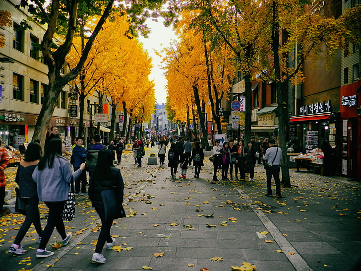 podzim, banka, Insa dong, Korejská republika, ulice, lidé, město