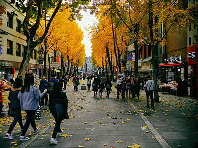 autumn, bank, insa dong, republic of korea, street, people, town