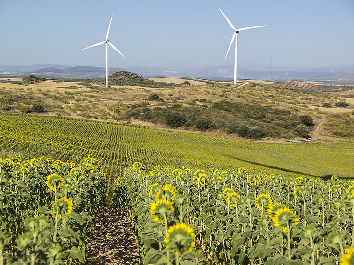 větrného parku, Větrná energie, obnovitelné zdroje, mlýn, Výroba elektrické energie, větrný mlýn, vítr