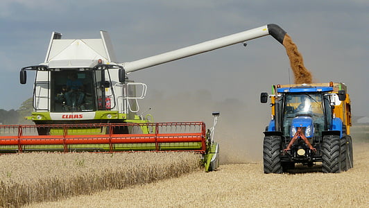 Harvest, korn, kombinere, sysselsatt, innhøstingen tid, landbrukskjøretøyer, feltet