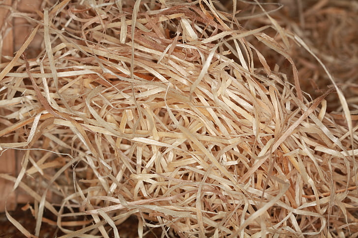 wood wool, chips, wood, wood chips, close, planed