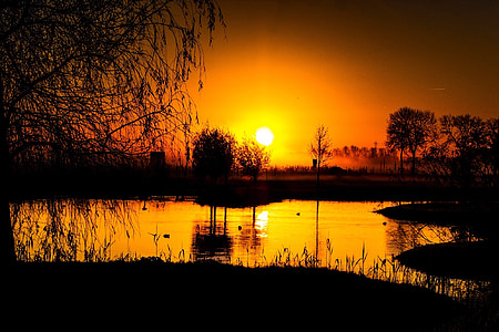 pond, sunrise, water, nature