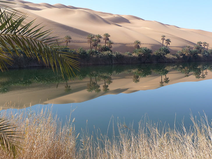 oásis, Líbia, Lago, descanso, espelhamento, deserto, natureza