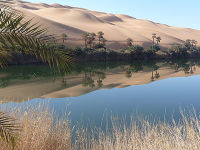 oázis, Líbia, tó, többi, tükrözés, sivatag, természet