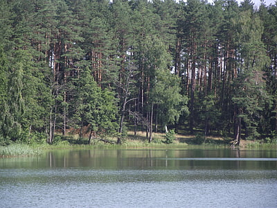 jezero, Mazury, kachny, voda, rybník