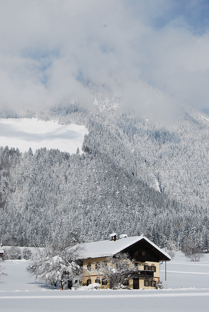 winters, berg, sneeuw, bos, wolken, Chalet, Hotel