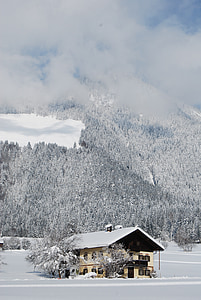 žiemą, kalnų, sniego, miško, debesys, namelis, Viešbutis
