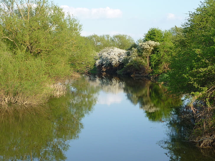 Sungai cherwell, Oxfordshire, alam, refleksi, Sungai, pohon, pohon