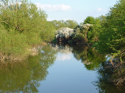jõe cherwell, Oxfordshire, loodus, peegeldus, jõgi, puud, puu