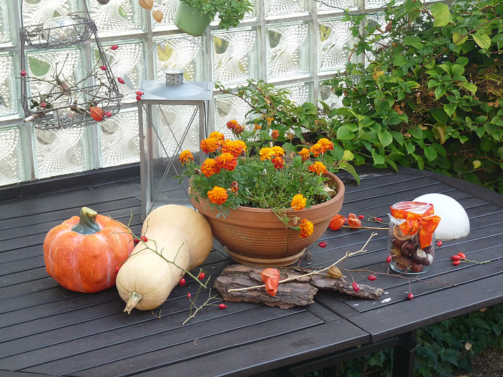 秋, kuerbis, 収穫, 野菜, ハロウィーン, ひょうたん, オレンジ